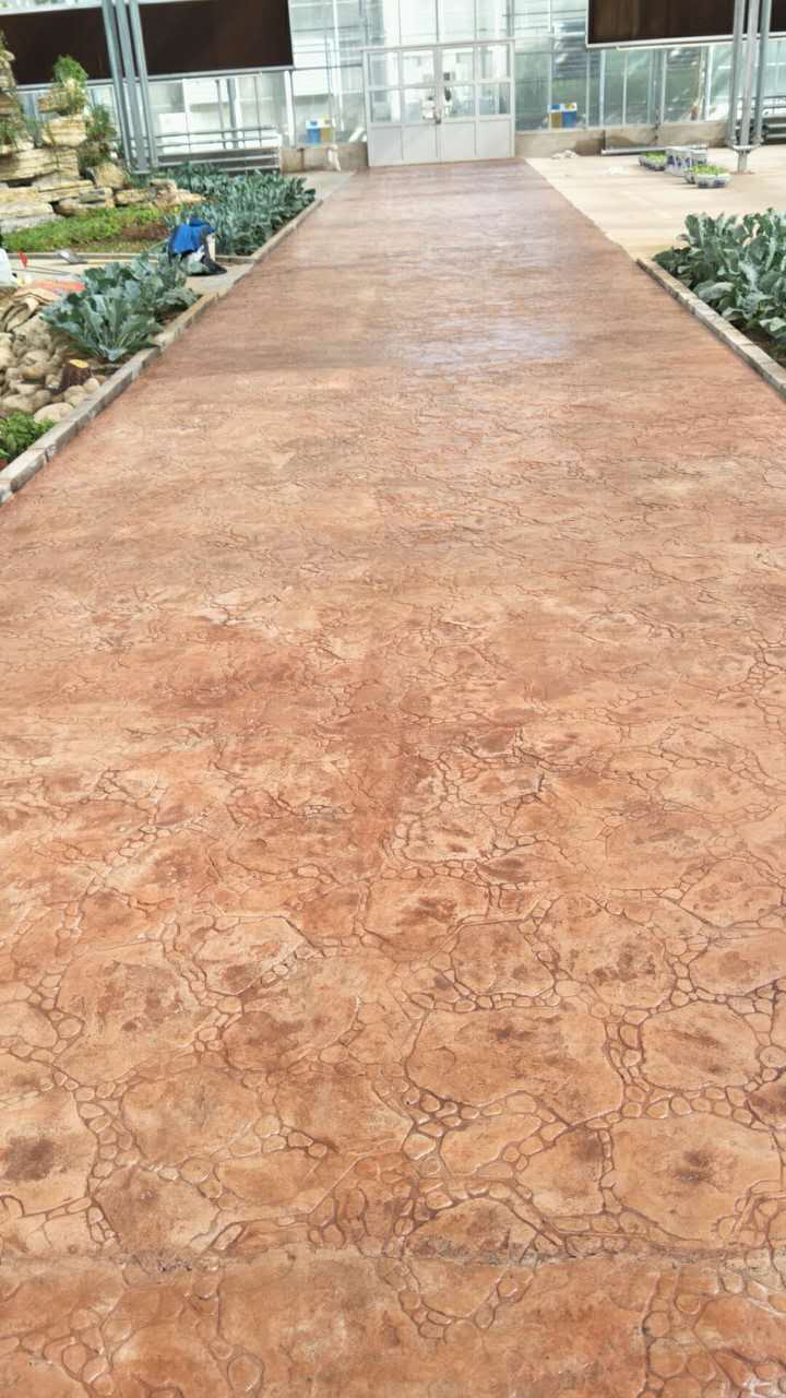 秦皇島市北戴河集發(fā)觀(guān)光園果